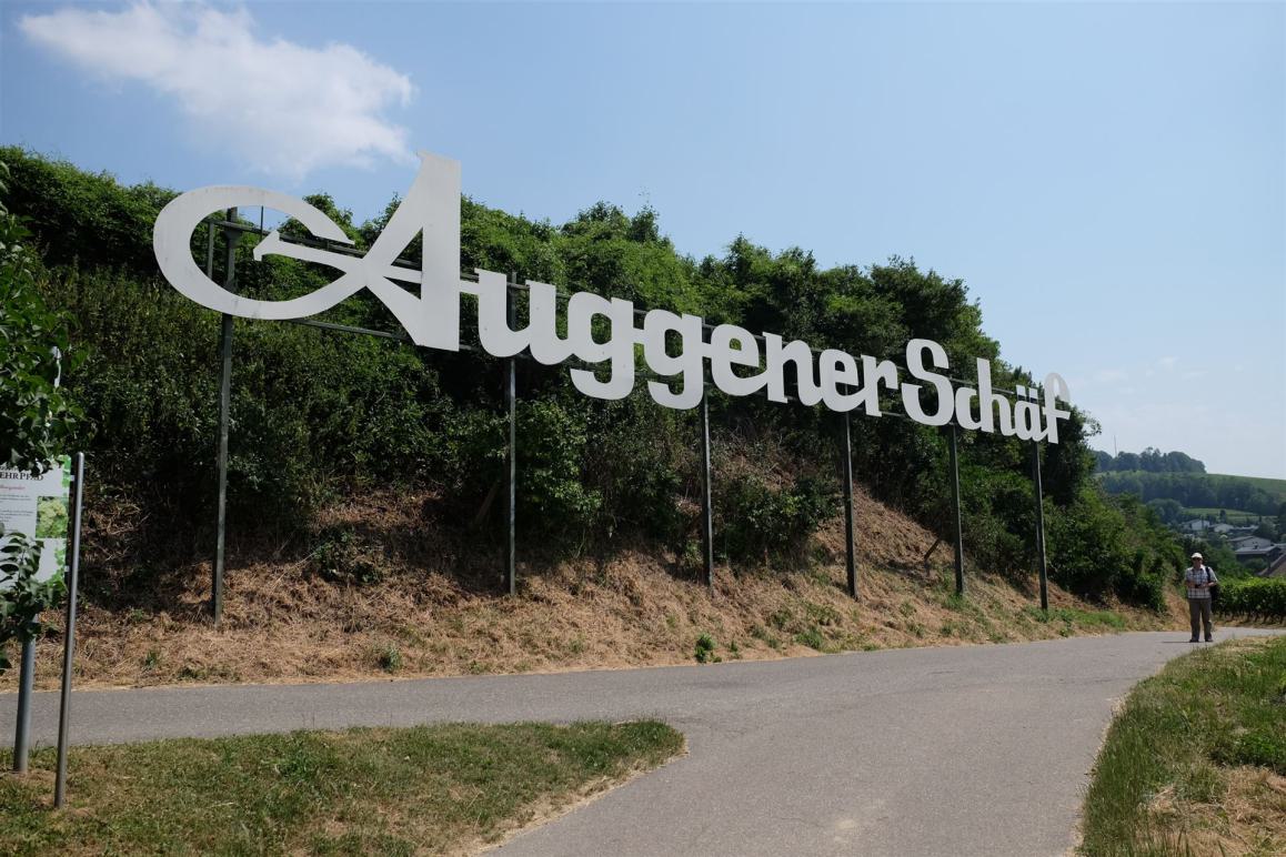 "weitere Bilder in unserer Galerie"